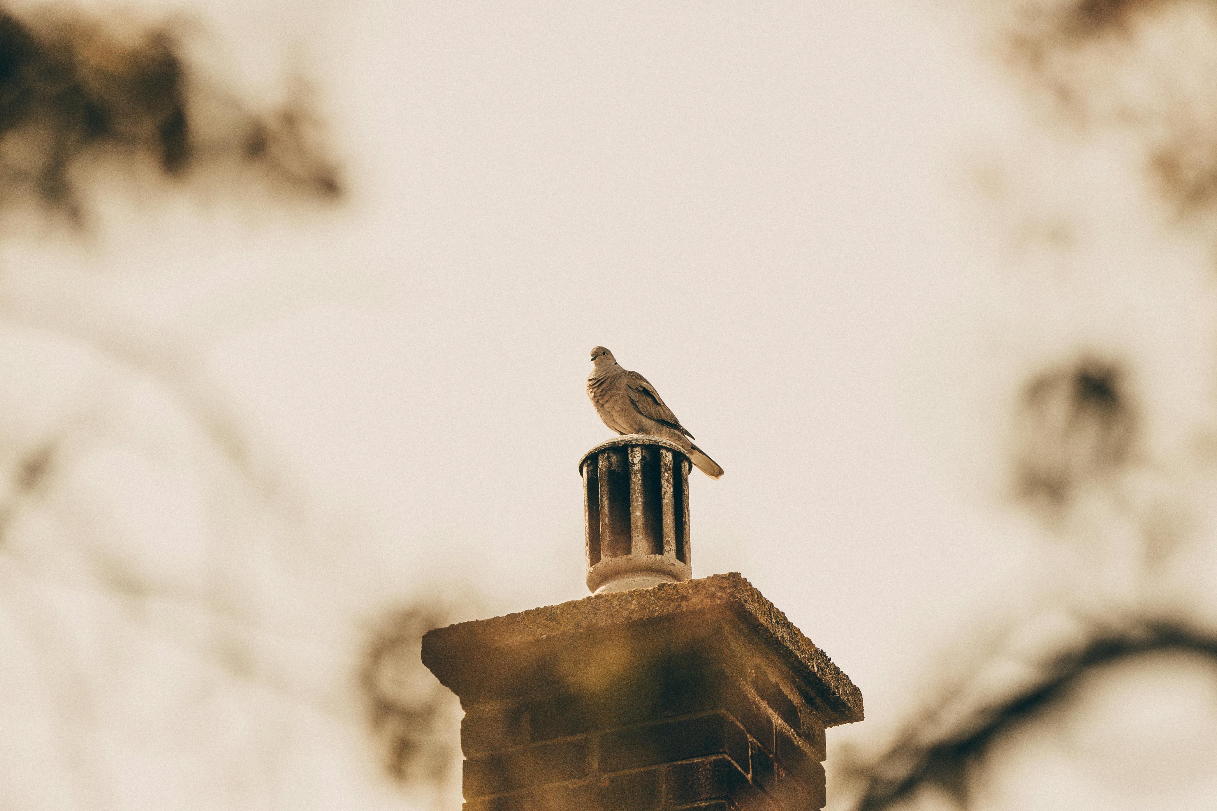 Expert Chimney Cap Installation in Hialeah, Florida